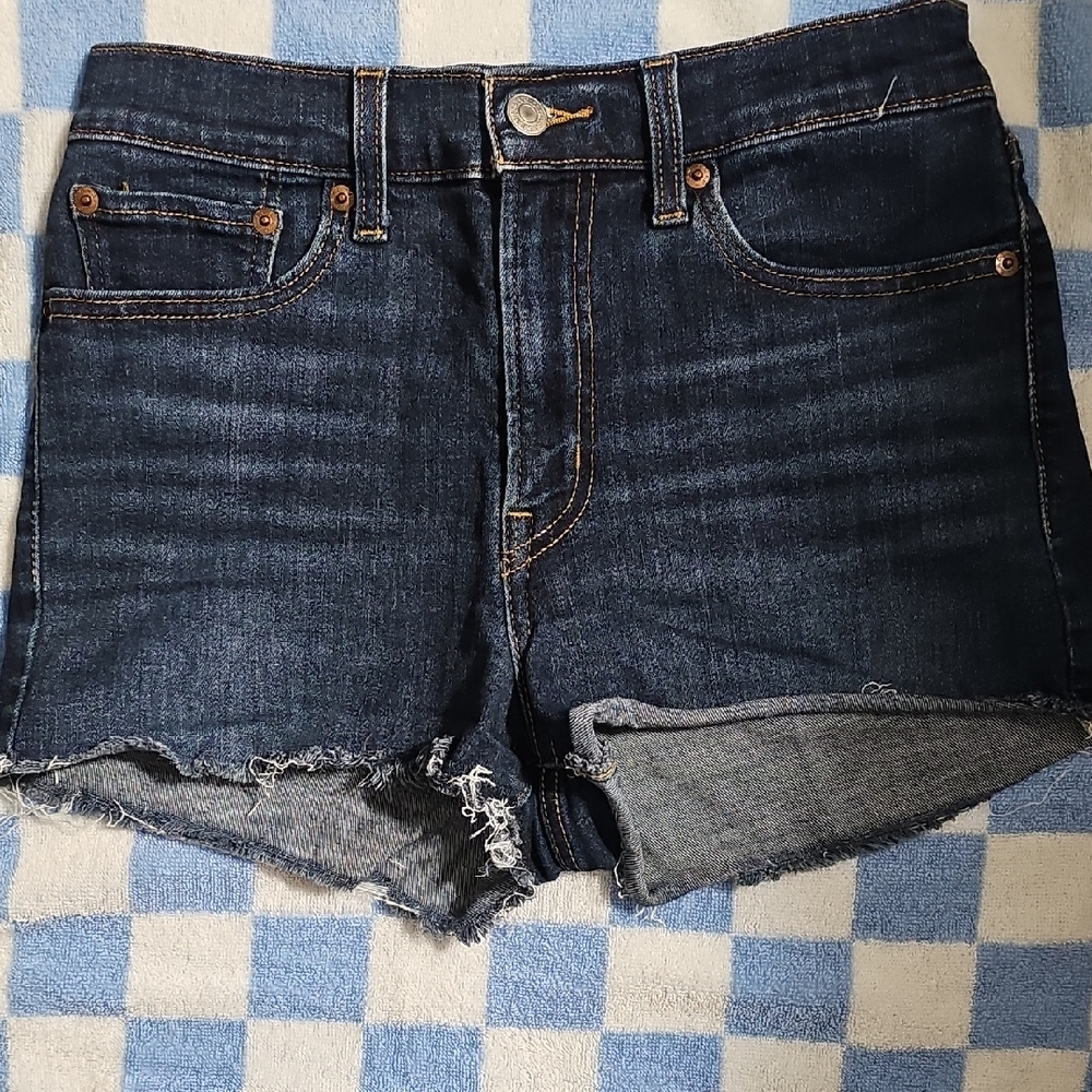 Levi's Denim Blue Women's Shorts